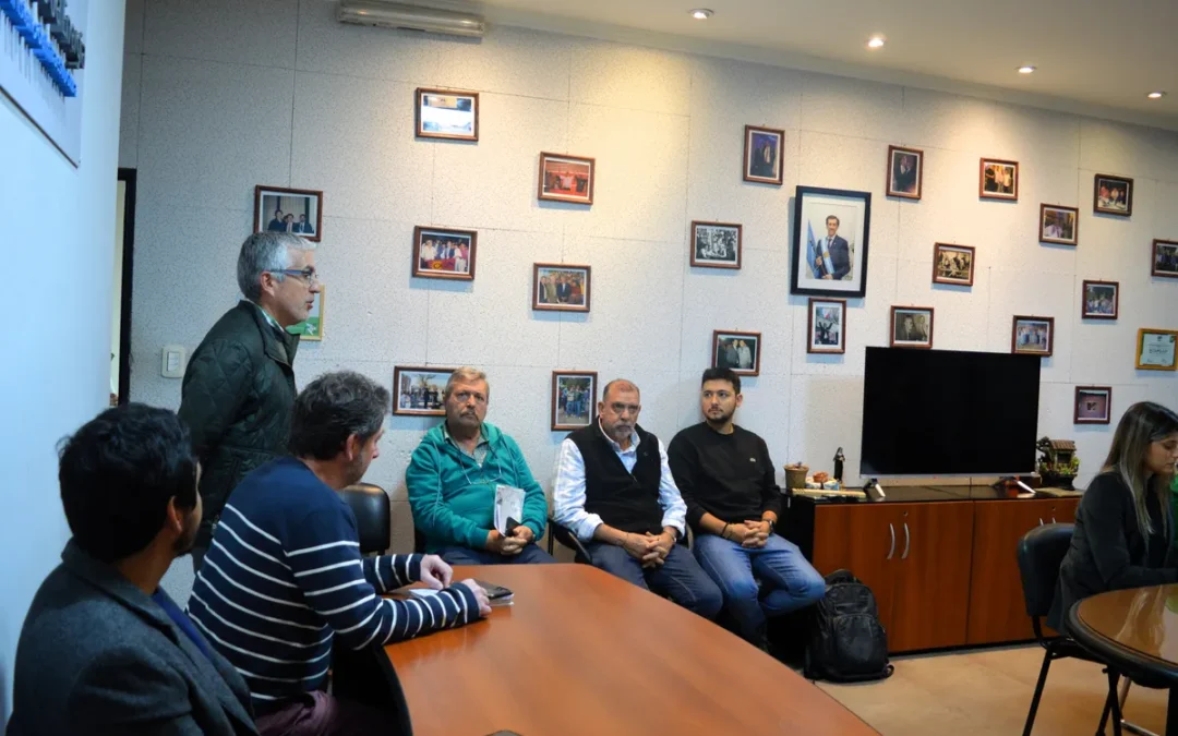 El acceso al Aeropuerto tendrá nueva iluminación, con sistema de energía solar