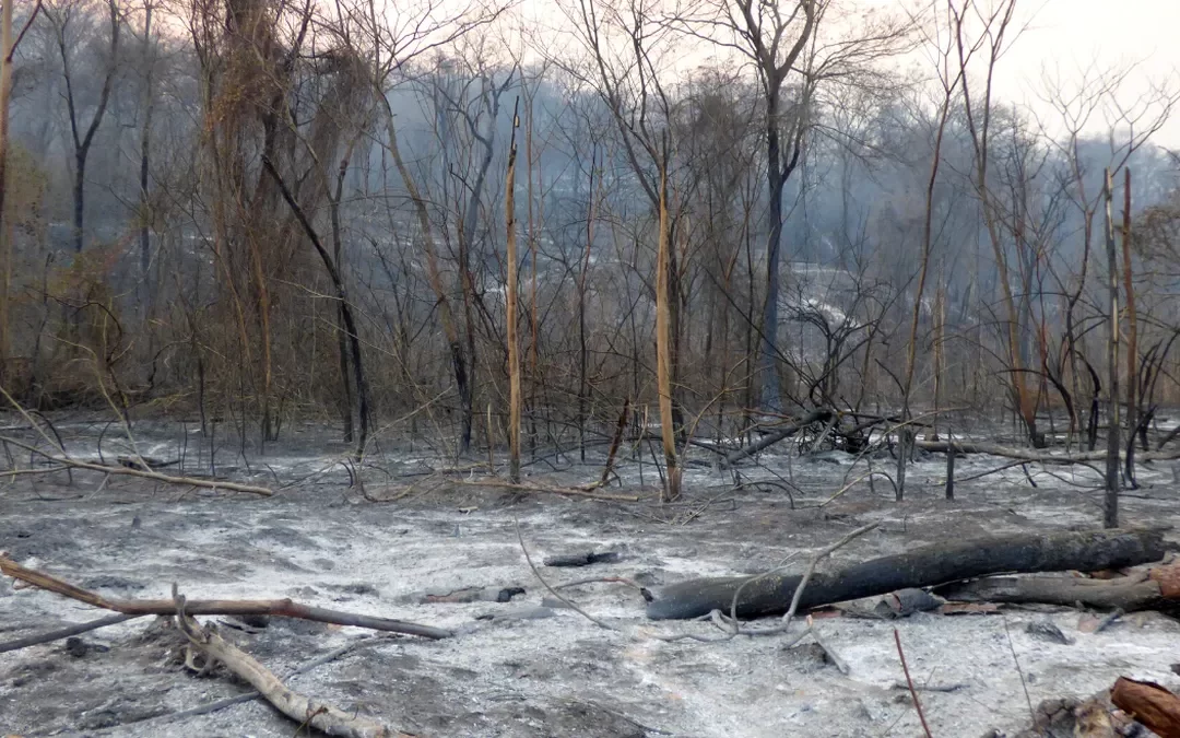 Incendio Forestal en las Yungas, ampliarán las horas de trabajo